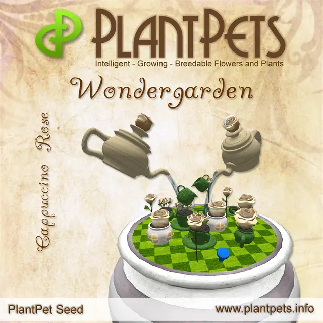 Poster for Wondergarden *Cappuccino Rose*