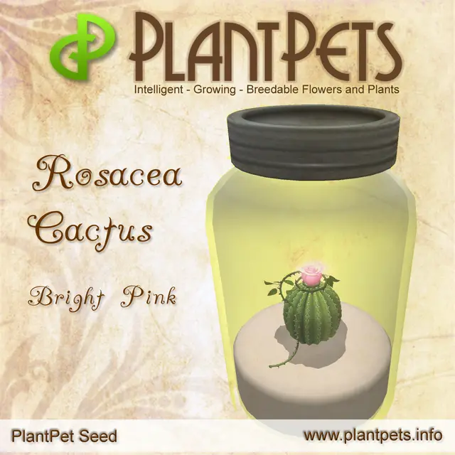 Poster for Rosacea Cactus *Bright Pink*