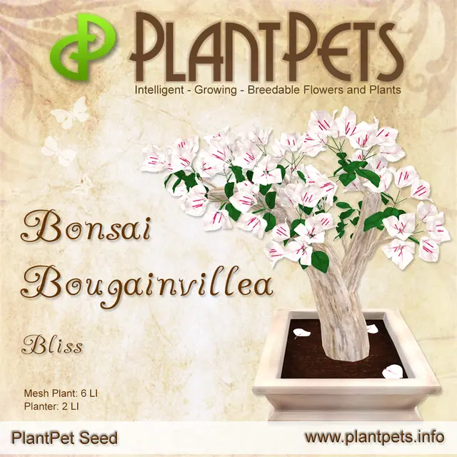 Poster for Bonsai Bougainvillea *Bliss*