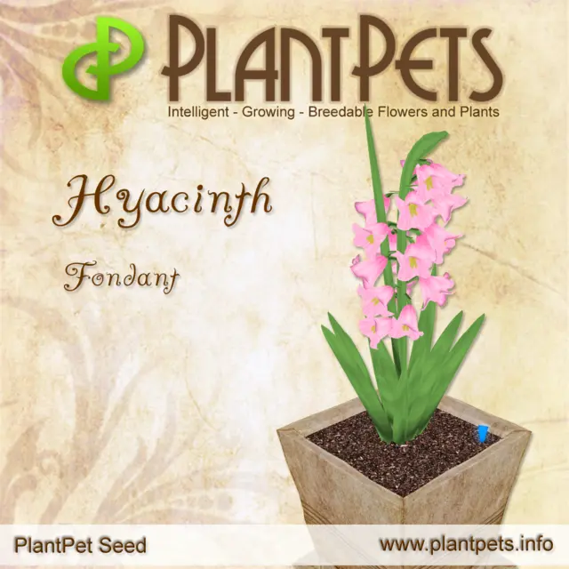 Poster for Hyacinth *Fondant*