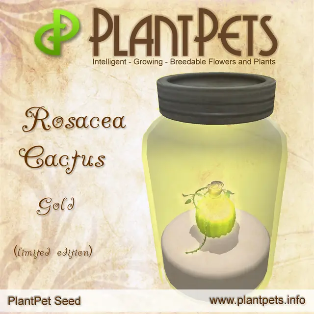 Poster for Rosacea Cactus *Gold*