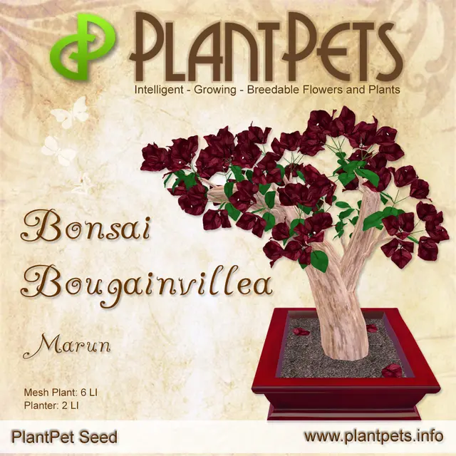 Poster for Bonsai Bougainvillea *Marun*