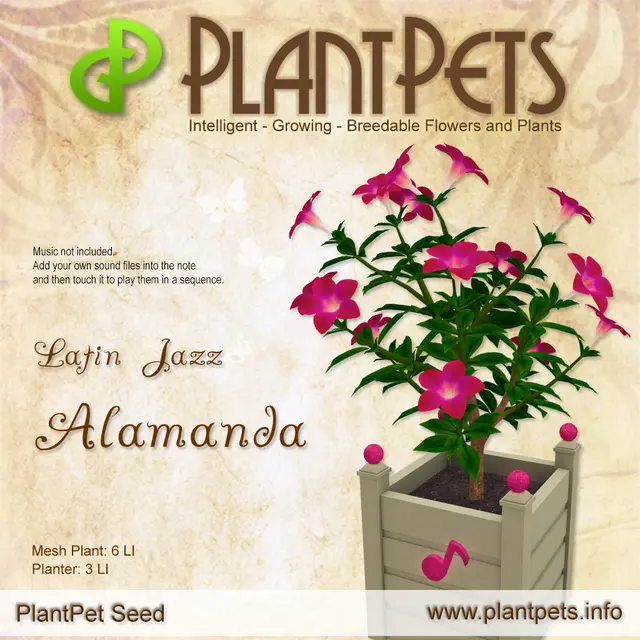 Poster for Alamanda *Latin Jazz*