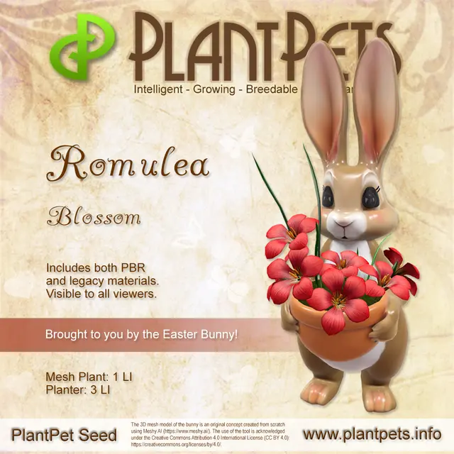 Poster for Romulea *Blossom*