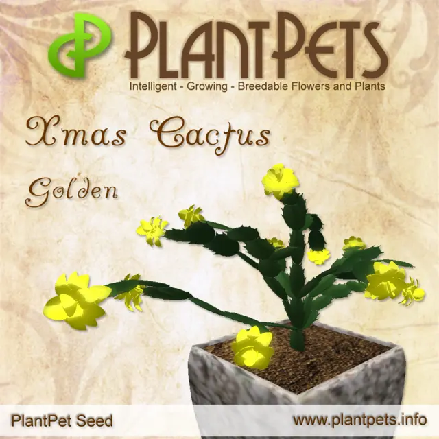 Poster for Xmas Cactus *Golden*