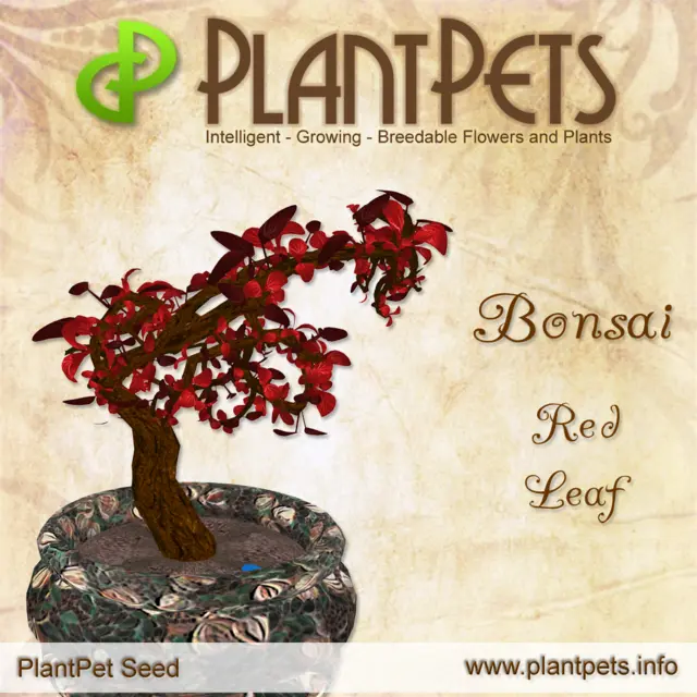 Poster for Bonsai *Red Leaf*
