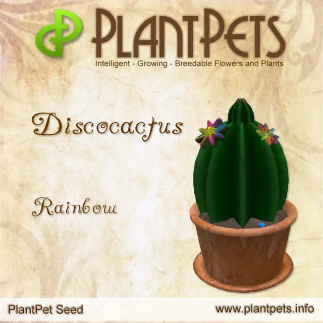 Poster for Discocactus *Rainbow*