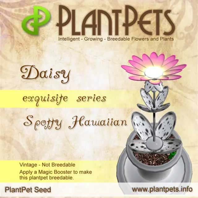 Poster for Daisy *Spotty Hawaiian*