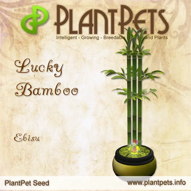 Poster for Lucky Bamboo *Ebisu*