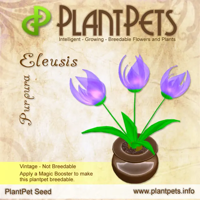 Poster for Eleusis *Purpura*