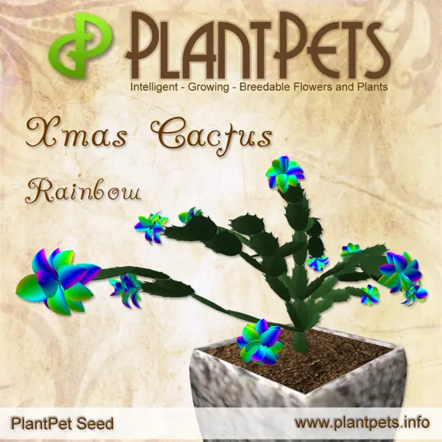 Poster for Xmas Cactus *Rainbow*