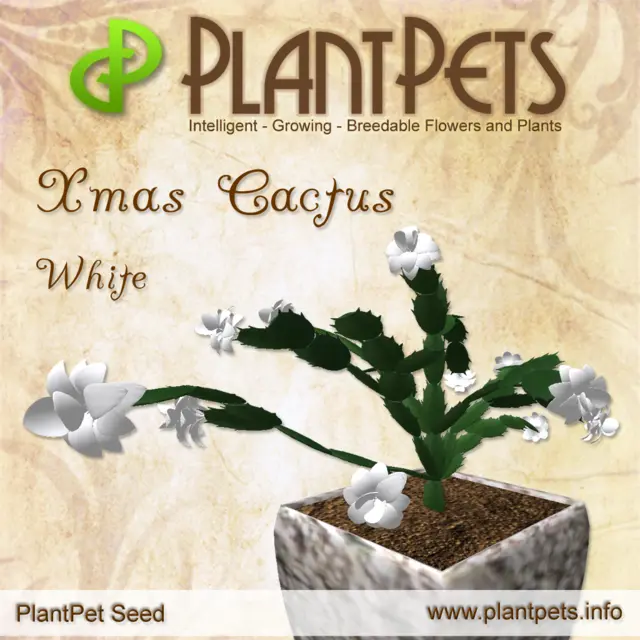 Poster for Xmas Cactus *White*