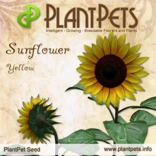 Poster for Sunflower *Yellow*