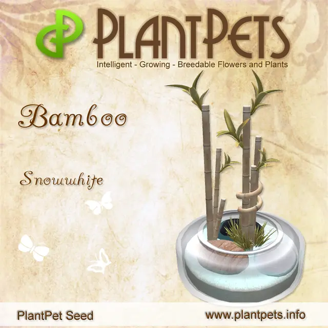 Poster for Bamboo *Snowwhite*