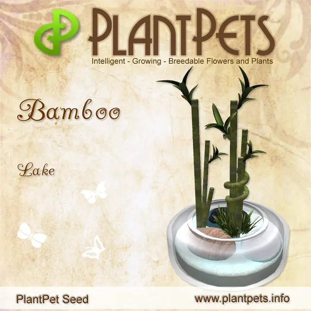 Poster for Bamboo *Lake*