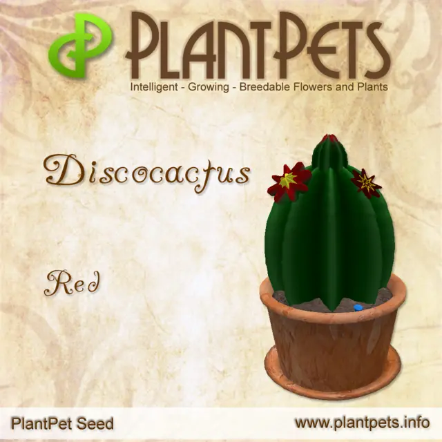 Poster for Discocactus *Red*