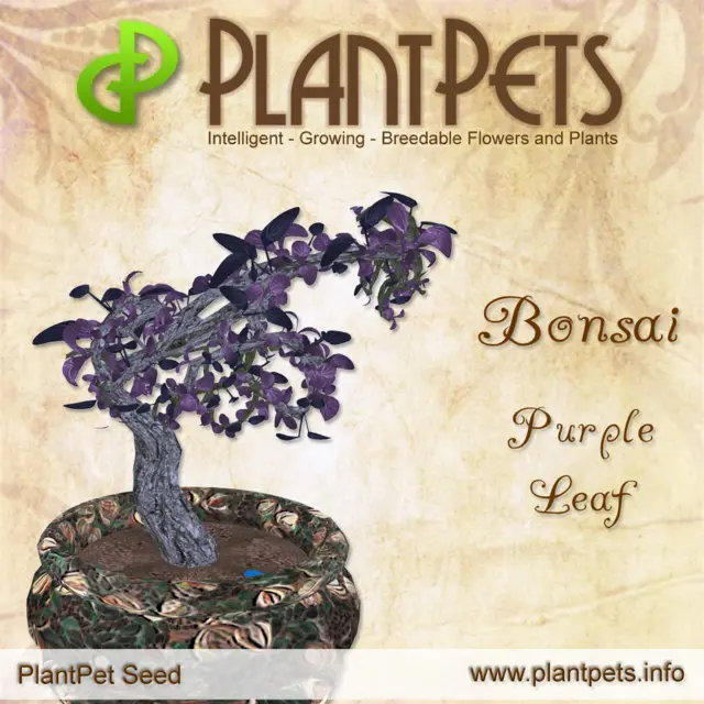 Poster for Bonsai *Purple Leaf*