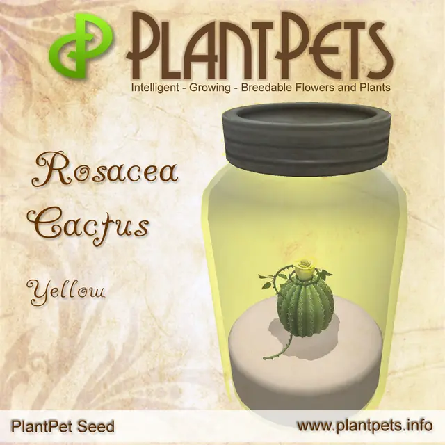 Poster for Rosacea Cactus *Yellow*