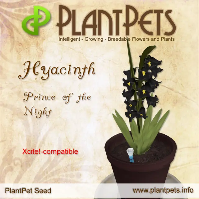 Poster for Hyacinth *Prince of the Night*
