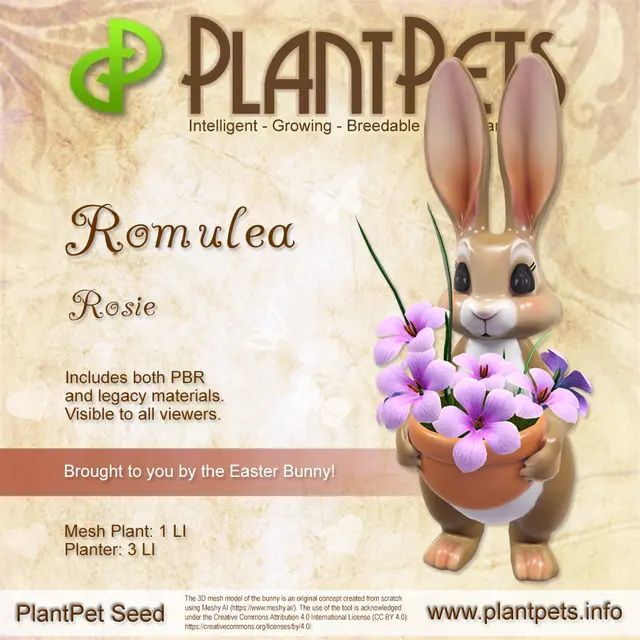 Poster for Romulea *Rosie*