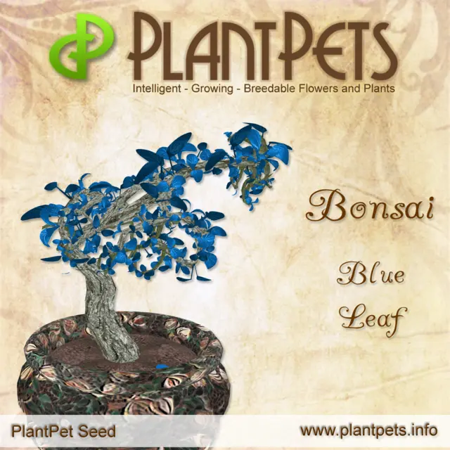 Poster for Bonsai *Blue Leaf*