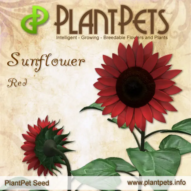 Poster for Sunflower *Red*