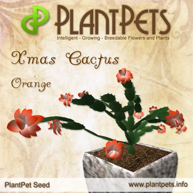 Poster for Xmas Cactus *Orange*