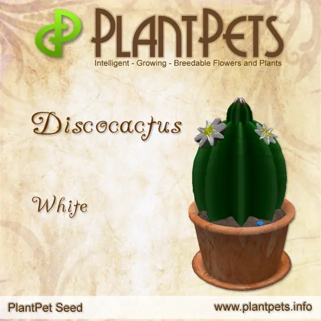 Poster for Discocactus *White*