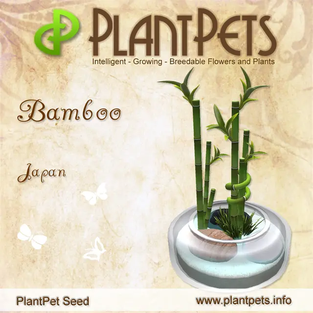 Poster for Bamboo *Japan*