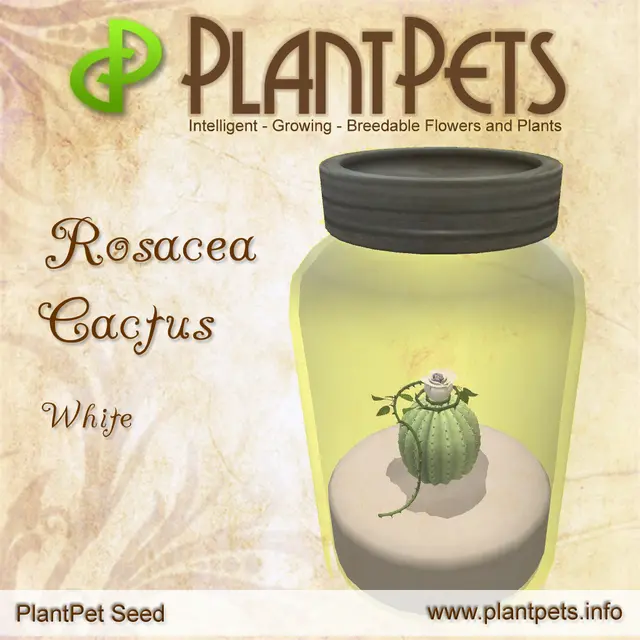 Poster for Rosacea Cactus *White*