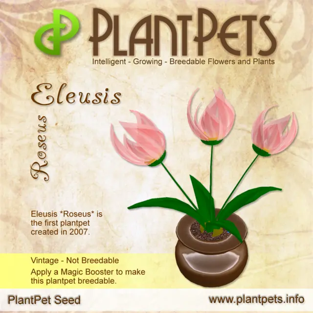 Poster for Eleusis *Roseus*
