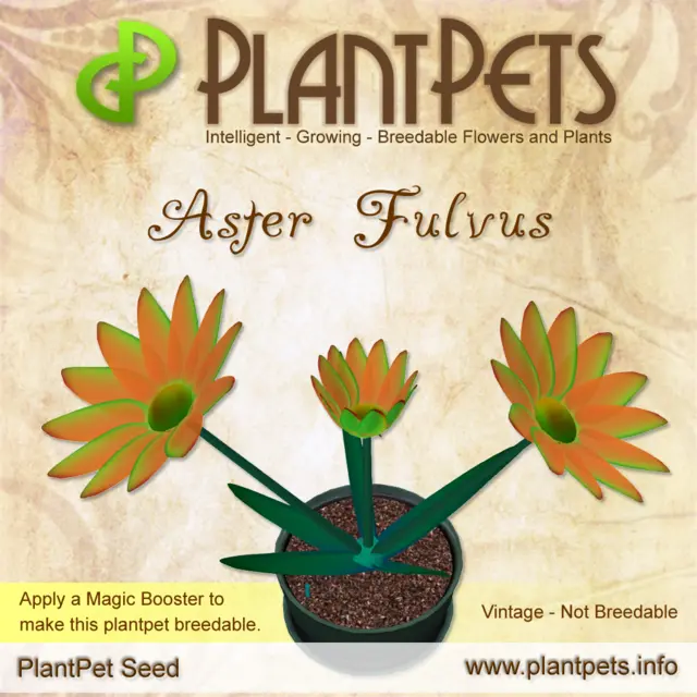 Poster for Aster *Fulvus*