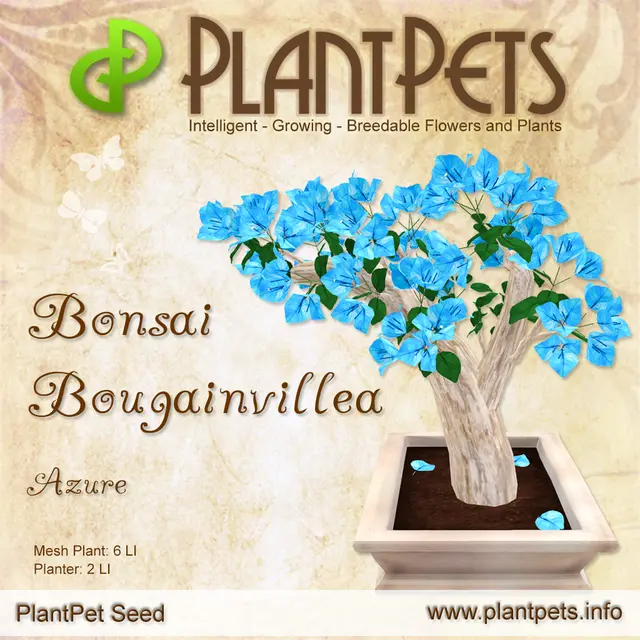 Poster for Bonsai Bougainvillea *Azure*
