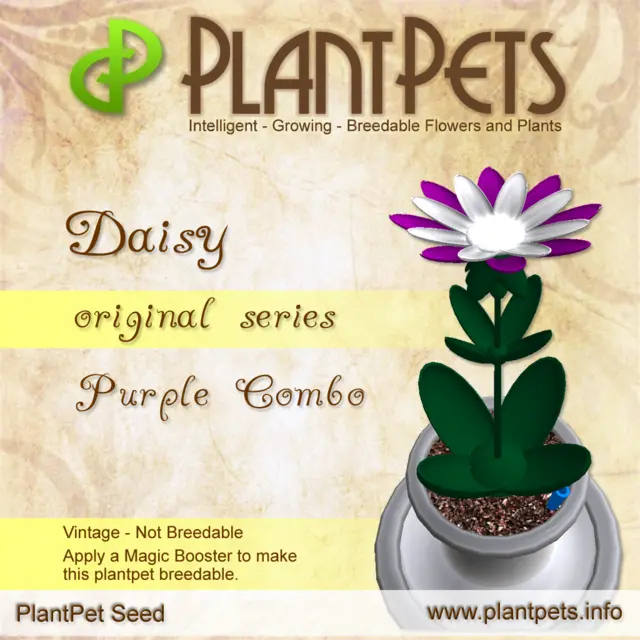 Poster for Daisy *Original Purple Combo*