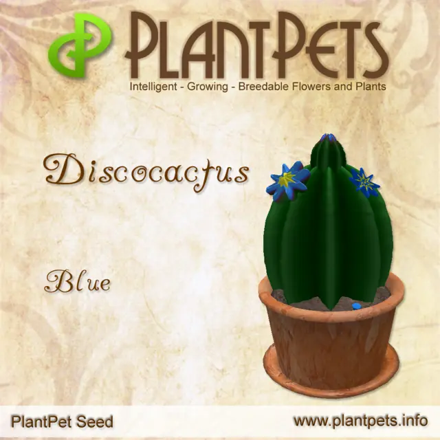 Poster for Discocactus *Blue*