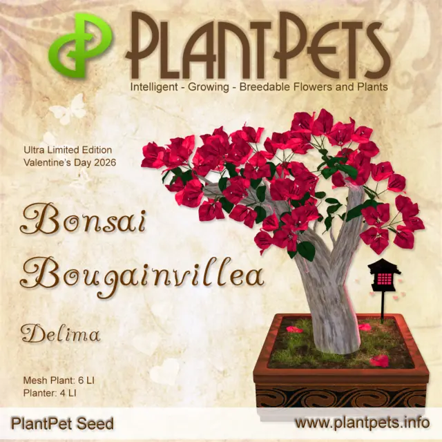 Poster for Bonsai Bougainvillea *Delima*