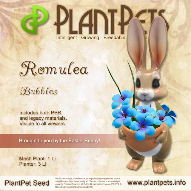 Poster for Romulea *Bubbles*