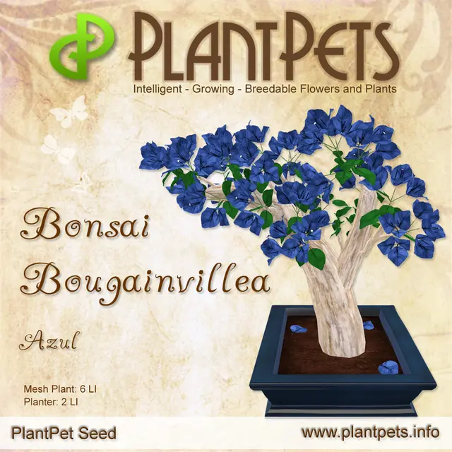 Poster for Bonsai Bougainvillea *Azul*