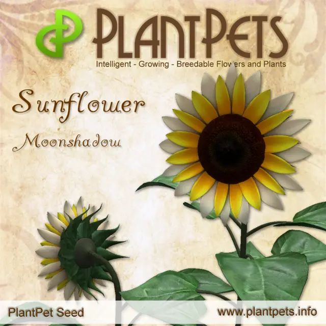 Poster for Sunflower *Moonshadow*