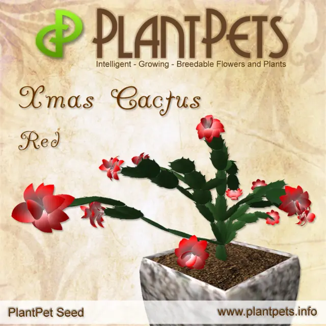 Poster for Xmas Cactus *Red*