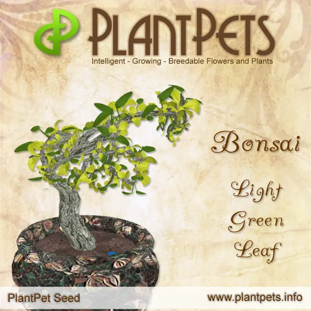 Poster for Bonsai *Light Green Leaf*