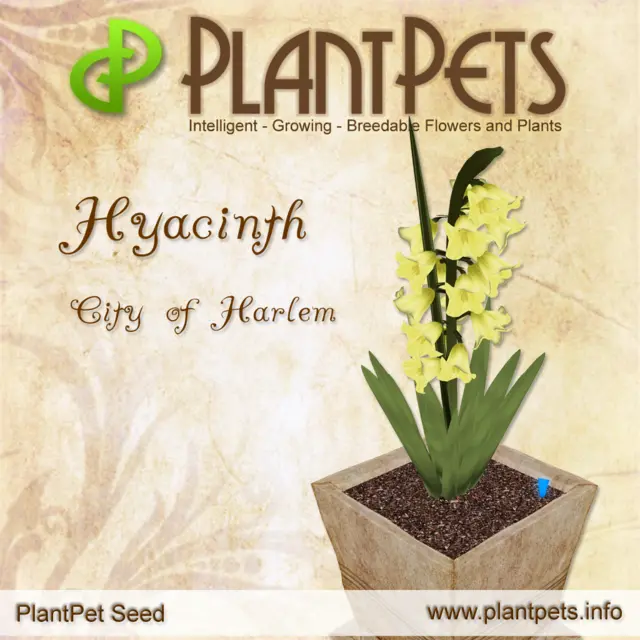 Poster for Hyacinth *City of Harlem*