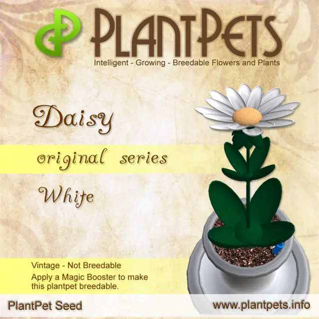 Poster for Daisy *Original White*