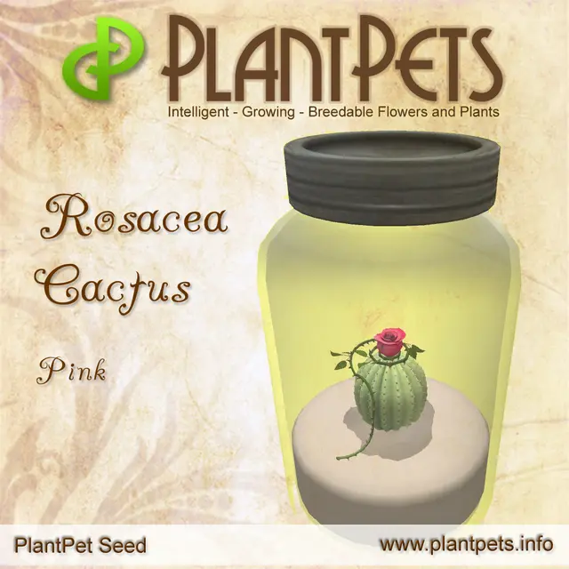 Poster for Rosacea Cactus *Pink*