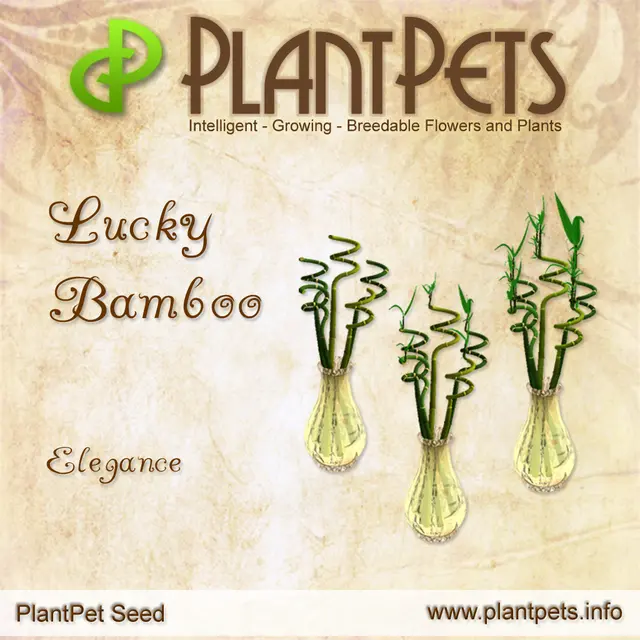 Poster for Lucky Bamboo *Elegance*