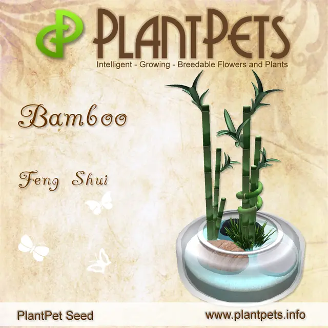 Poster for Bamboo *Feng Shui*