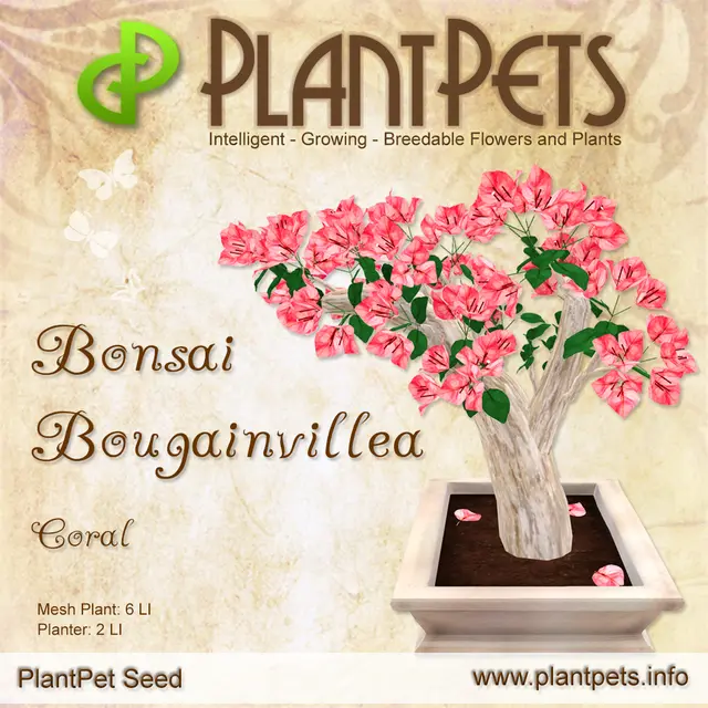 Poster for Bonsai Bougainvillea *Coral*